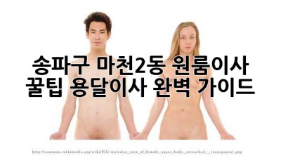 송파구 마천2동 원룸이사 꿀팁🍯 용달이사 완벽 가이드!