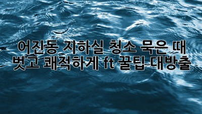 어진동 지하실 청소🧹✨ 묵은 때 벗고 쾌적하게! (ft. 꿀팁 대방출)